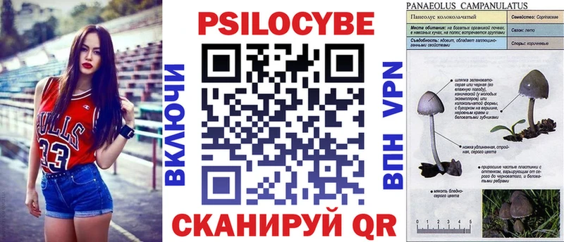 Псилоцибиновые грибы Psilocybine cubensis  Оренбург 