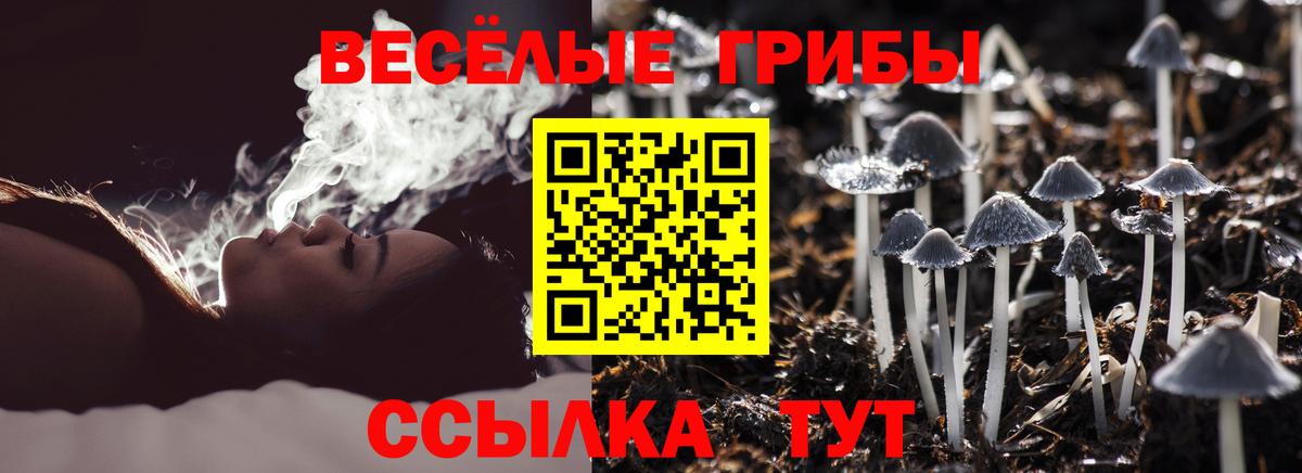 Псилоцибиновые грибы MAGIC MUSHROOMS Оренбург